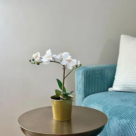 Apartament Helle Dachgeschosswohnung Im Zentrum
