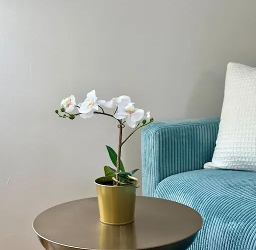 דירה Takara Dachgeschosswohnung 08 Mit Terrasse